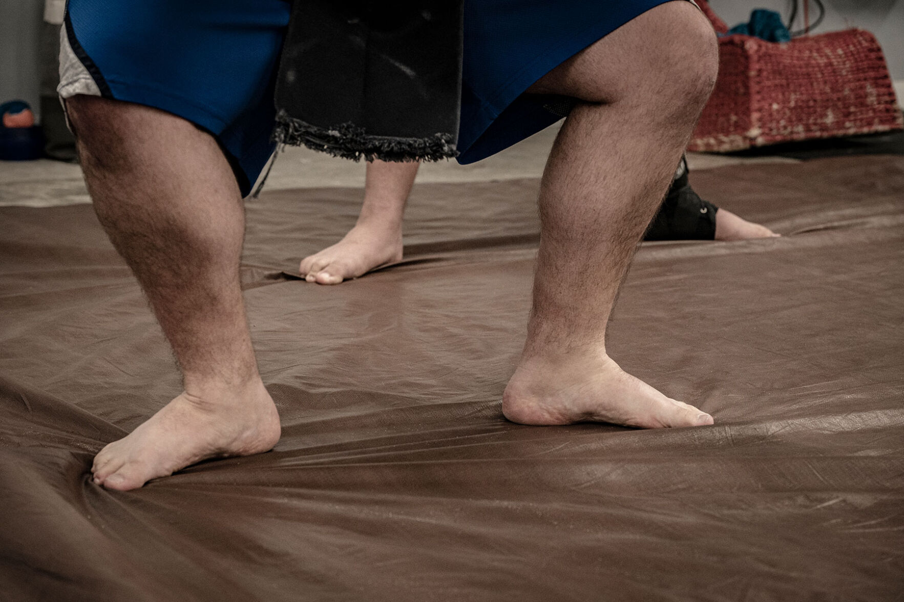 Tennessee Sumo Association