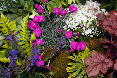 Annual Plant Sale - The Perennial Plant Society of Middle TN