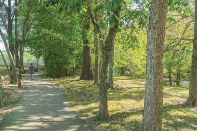Moss-Wright Park, the Nashville Scene’s 2026 Best Under-Appreciated Birding Location.
