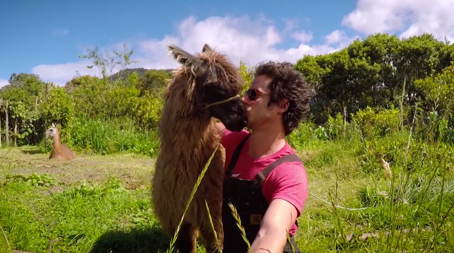 Cream Premiere: Take a Little Trip With Jonas Stein in 'Chillsesh'