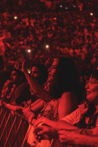 Bad Bunny Bridgestone-3.jpg