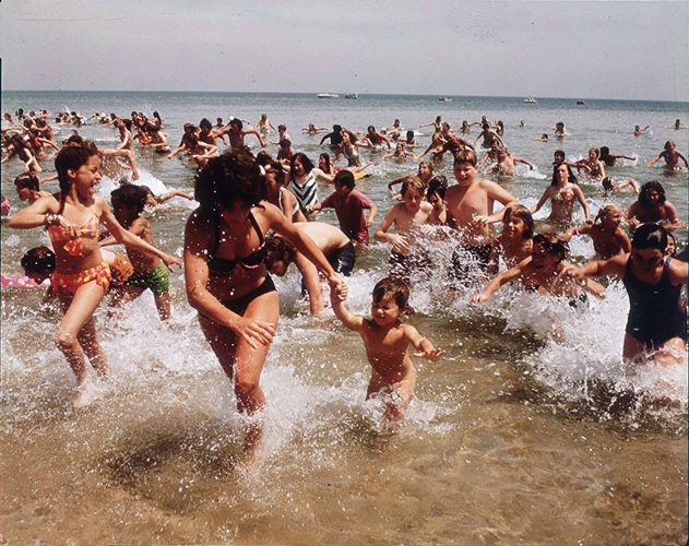 Conceptual Horror, All of the <i>Jaws</i> Films and More, Now Available to Stream