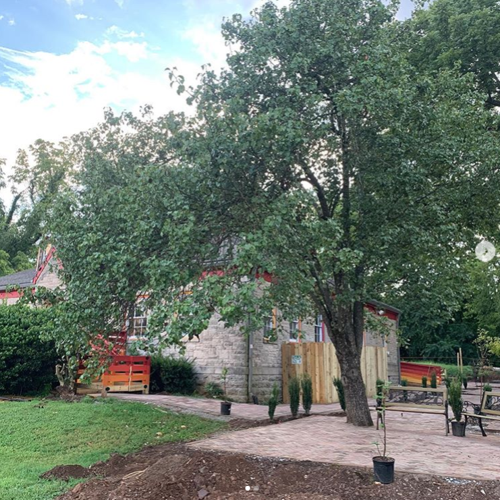 Popular East Nashville Latin American Restaurant El Fuego Reopens in New Space