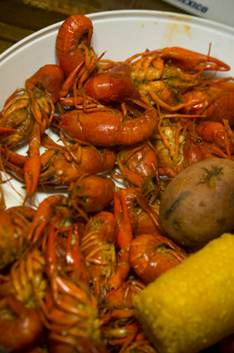 Cajun Steamer chugs into Cool Springs with festive NOLA cuisine