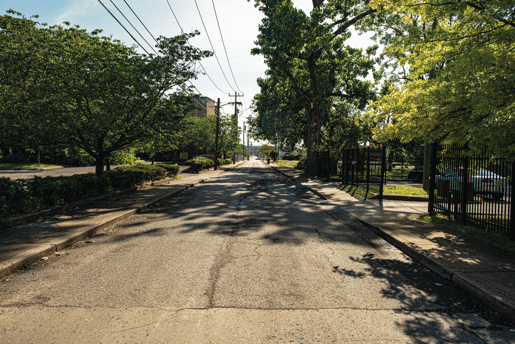 Walk a Mile: Hope Gardens and Buena Vista