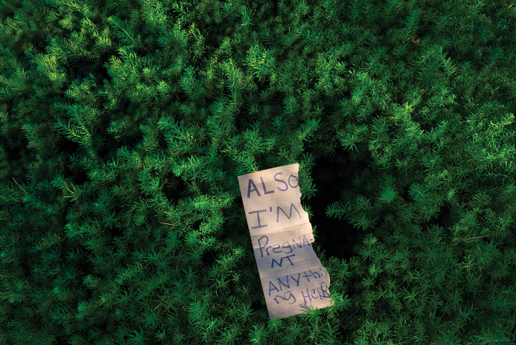 Walk a Mile: In the Footsteps of the Suffrage Movement