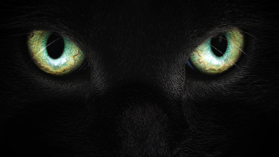 A Monster Roamed Nashville’s Streets in the 1880s