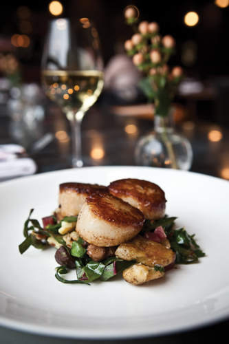 At Josephine, Burger Up owner Miranda Whitcomb Pontes takes 12South dining up another notch