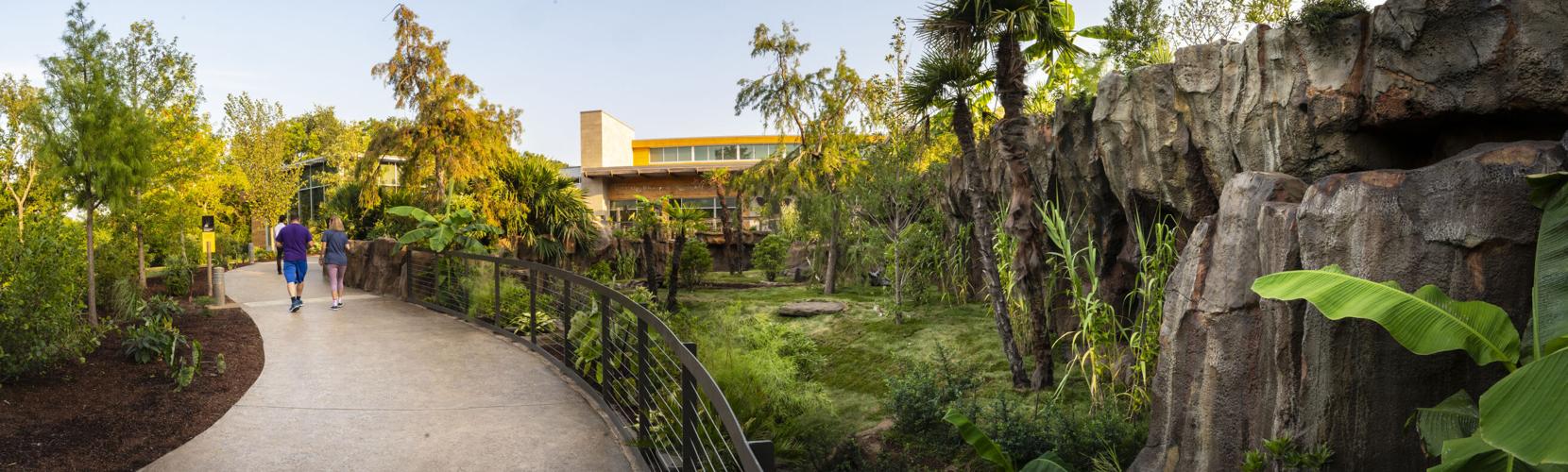 Dragon Fever: Nashville Zoo Opens Komodo Dragon Enclosure | Arts