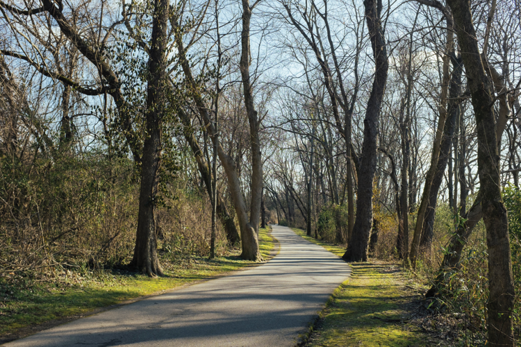 Shelby Bottoms Greenway