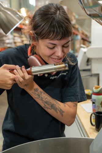 A coffee roaster examines the quality of beans