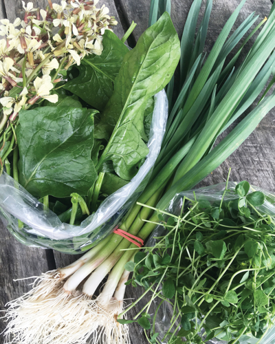 How Area Farmers Are Adapting to COVID-19’s Challenges