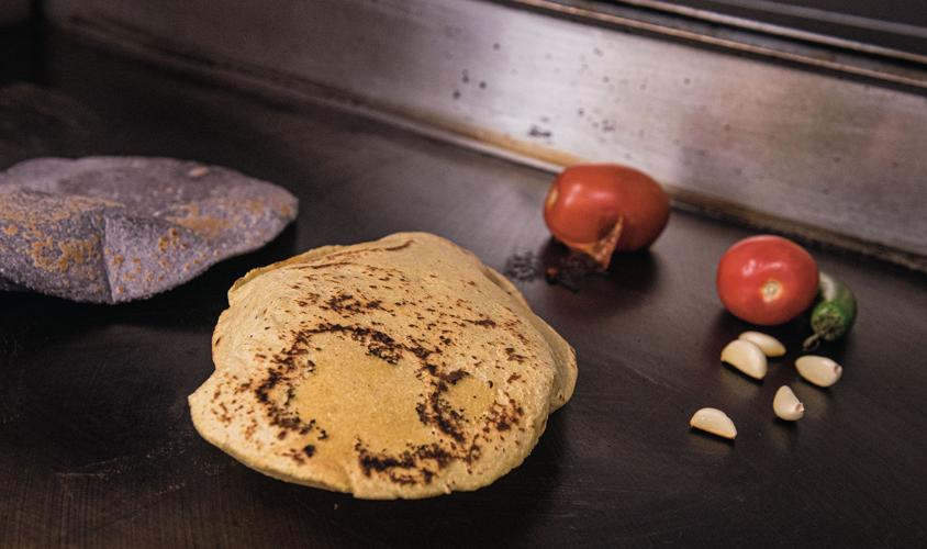 Tortilla Maiz de la Vida