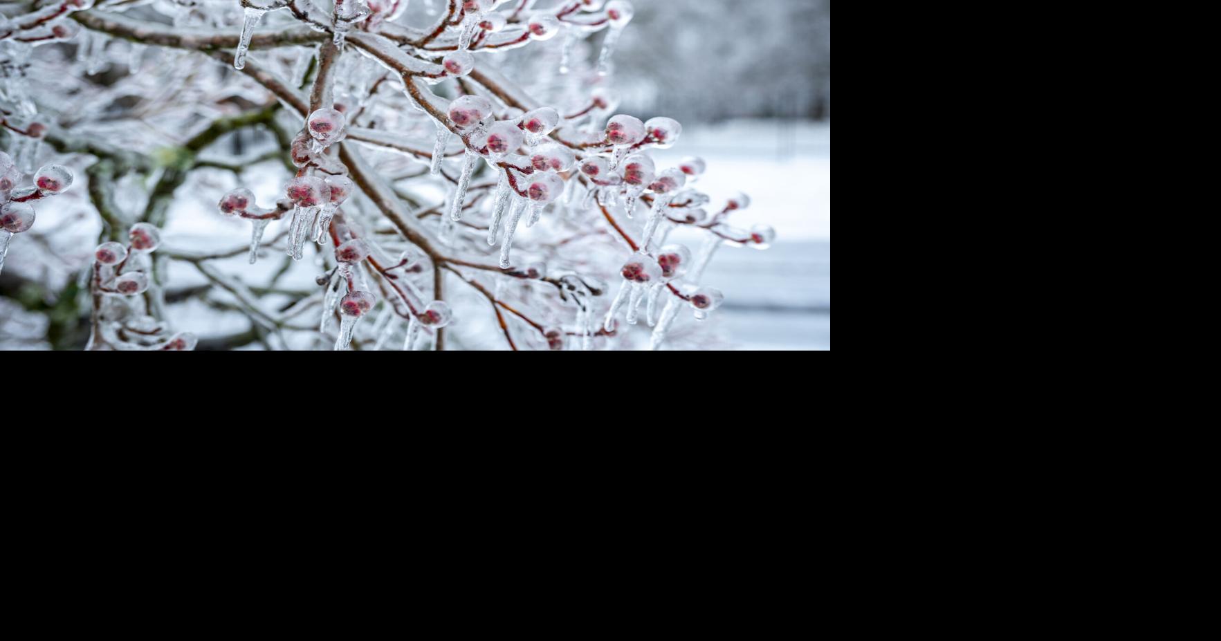 Area Businesses Offer Free Resources During Storm Recovery