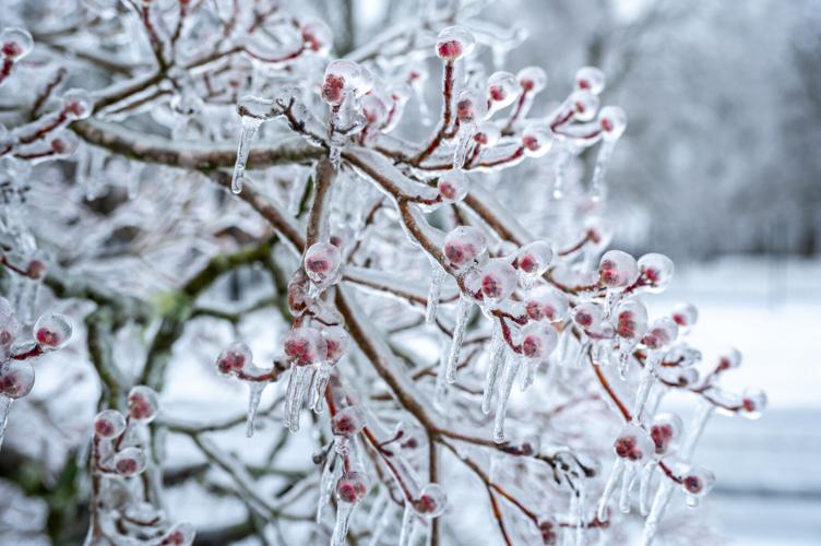 January 2026 Winter Storm