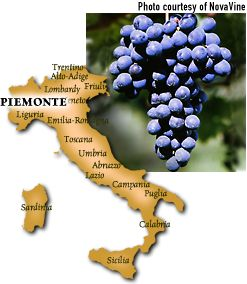 Wandering Wino: 'Ode to Barbera' Edition