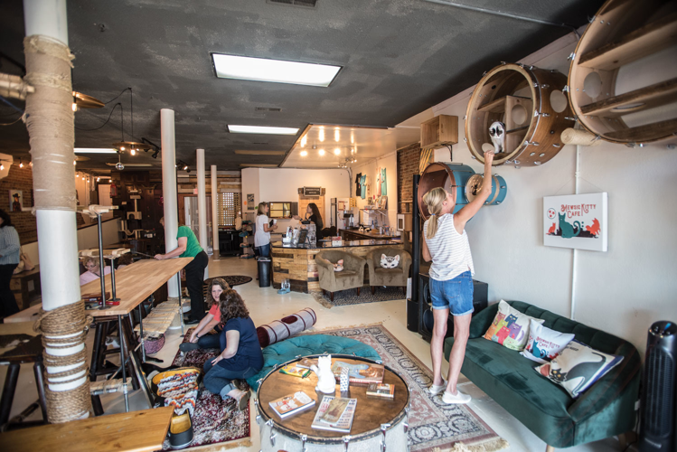 The Pet Issue 2018: A Cause for Paws