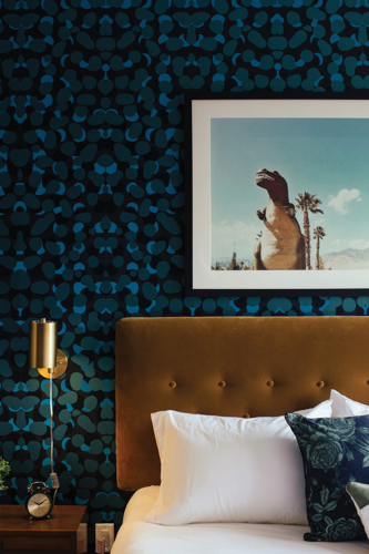 Vandyke Bed and Beverage Hopes to Stand Out