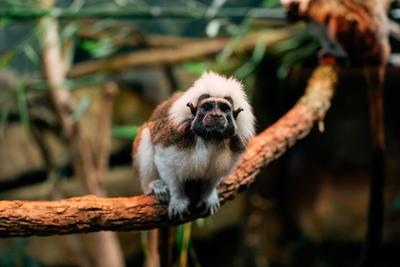 Zoo_0042.jpg