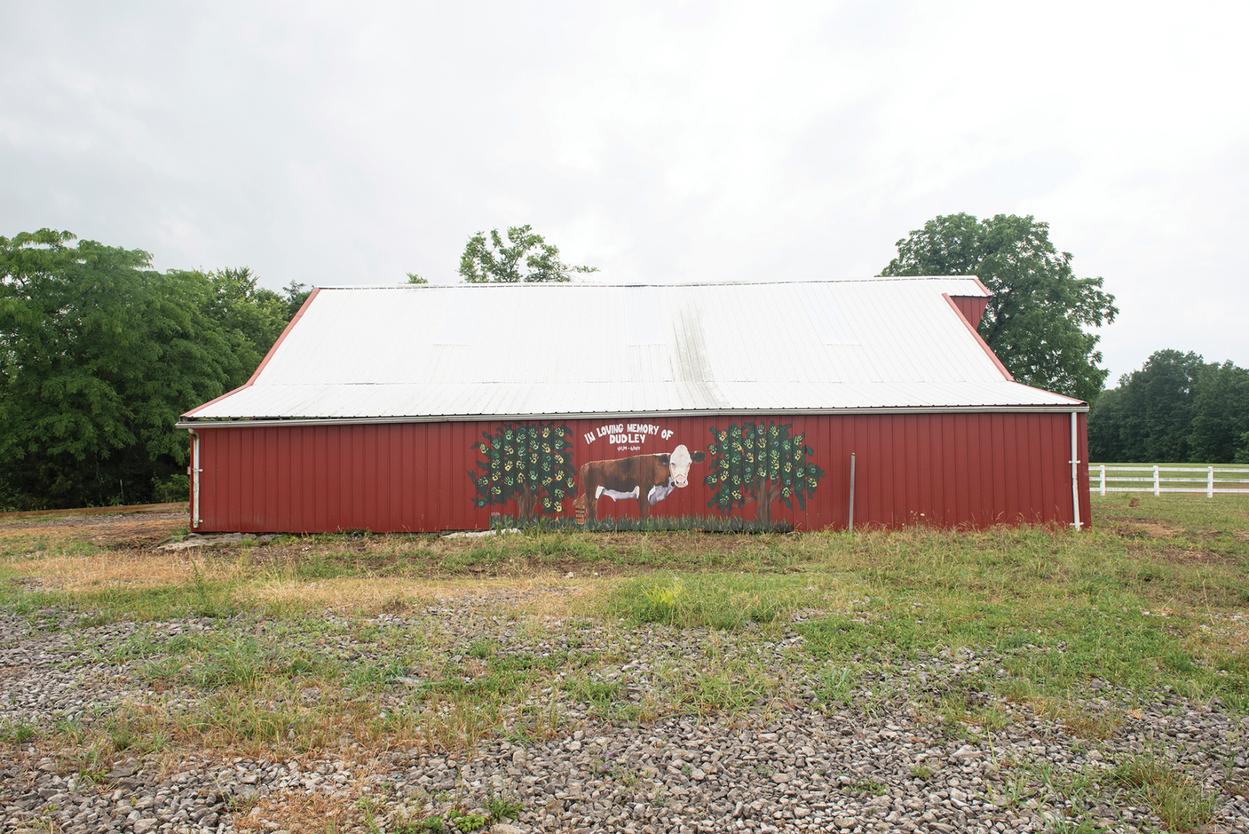 The Pet Issue 2019: The Gentle Barn