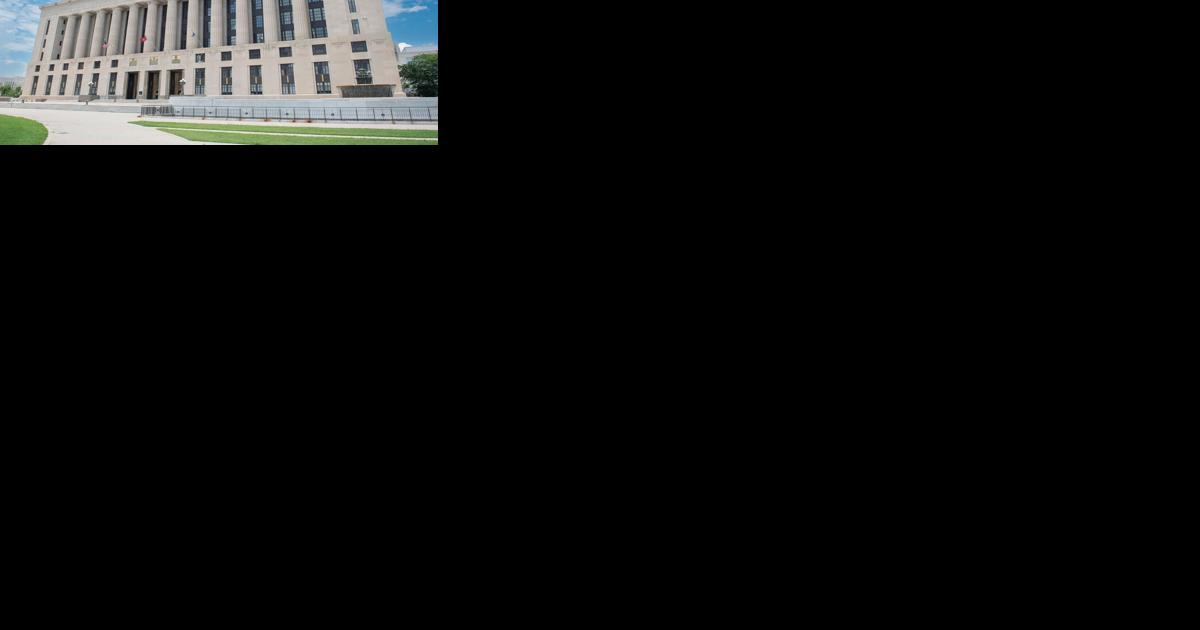 Candidates Emerge for Metro Council At-Large Seats - Vimarsana News