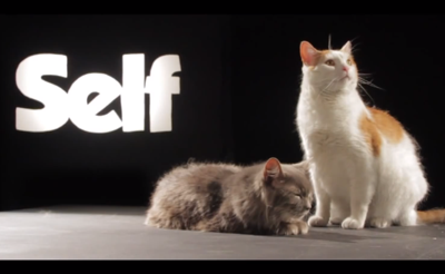 Self's 'Runaway' Features a Slew of Delightful Cats [Fresh Vid]