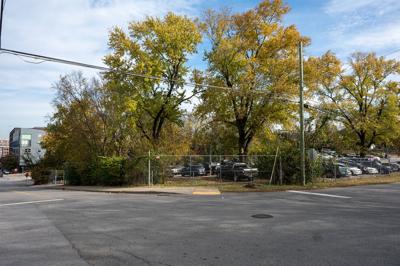 A chainlink fence surrounds a lot containing trees and vehicles
