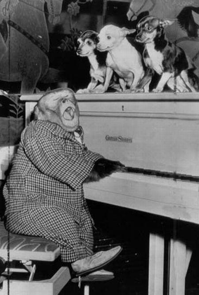 Caption Contest: Beale Street Music Festival Ticket Giveaway [Road Trip to Memphis, April 29-May 1] [Updated]