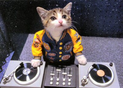 Hang the DJ: Nashville DJ Nights Are Out of Control