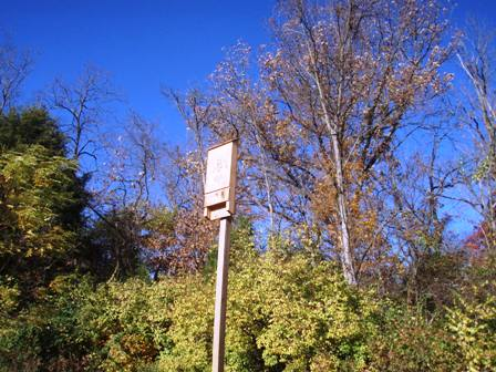 Seven Mile Creek, Wentworth Caldwell, and Willliam Whitfield Parks: A Review
