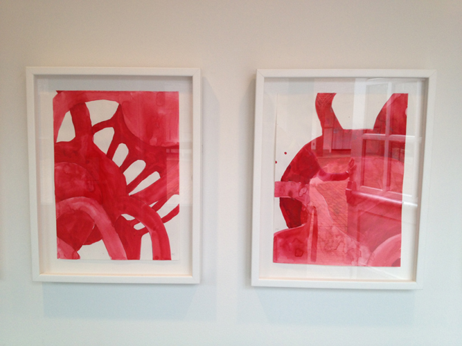 Installation View: Mathilde Roussel's <i>Anatomia Botanica</i> at Cheekwood