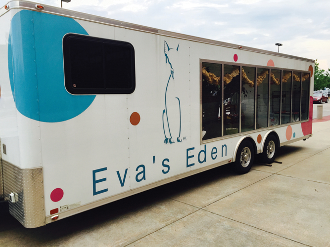 Apocalypse Meow: How a Cult That Believes Cats Are Divine Beings Ended Up in Tennessee