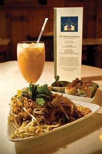 Smiling Elephant Makes Eyes Water With Joy