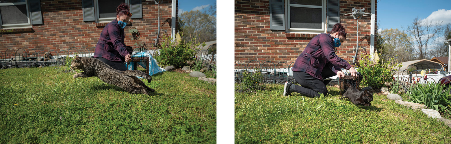 Strays at Large: Meet the People Stemming the Tide of Nashville’s Free-Roaming Cats
