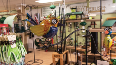 Best Place for Your New Birding Hobby