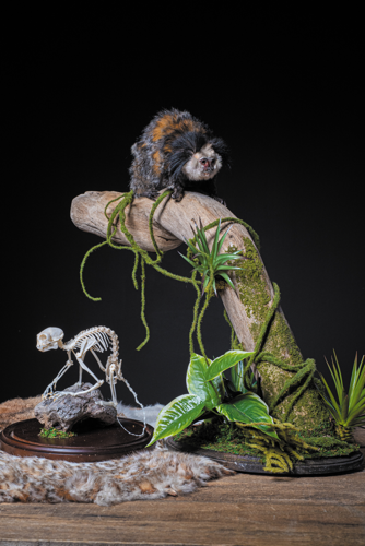 The Death Issue: Bone Collectors