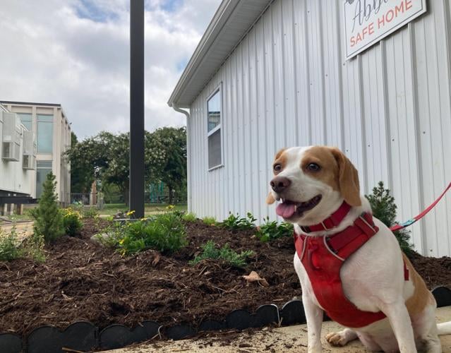 Courtesy of Abbie's Safe Home