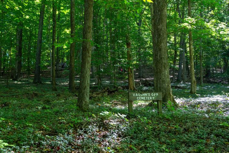 VaughnsGapCemetery.jpg
