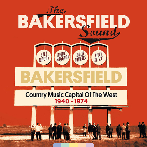 20th Annual Country Music Critics’ Poll: The Results