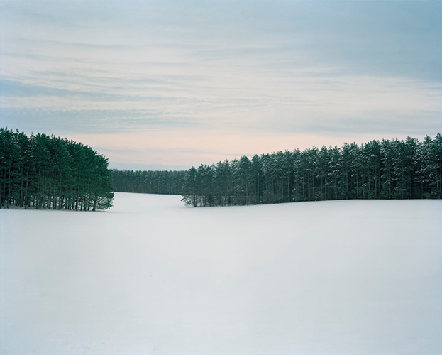 Critic/Ally: Caroline Allison