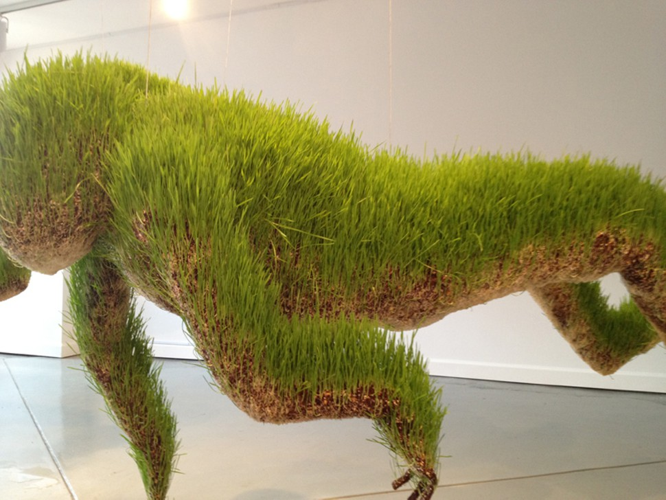 Installation View: Mathilde Roussel's <i>Anatomia Botanica</i> at Cheekwood