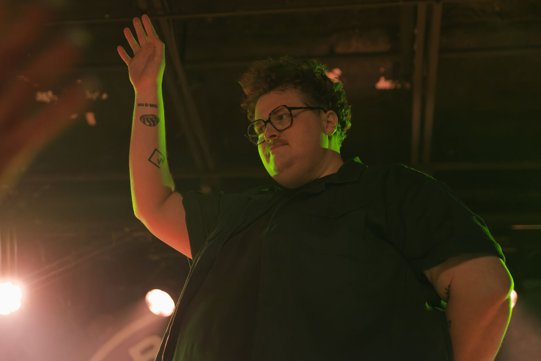 Michigander 16 high res.jpg