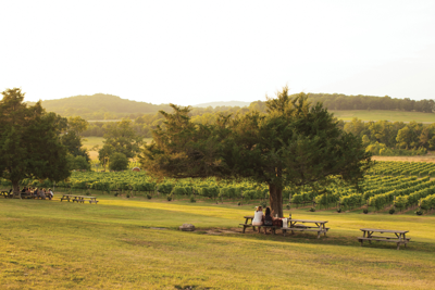 Best Winery/Vineyard