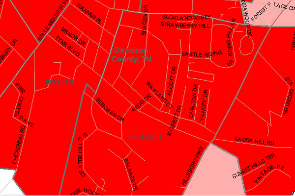 New Interactive Maps Show Plenty of Segregation in Nashville and Throughout U.S.