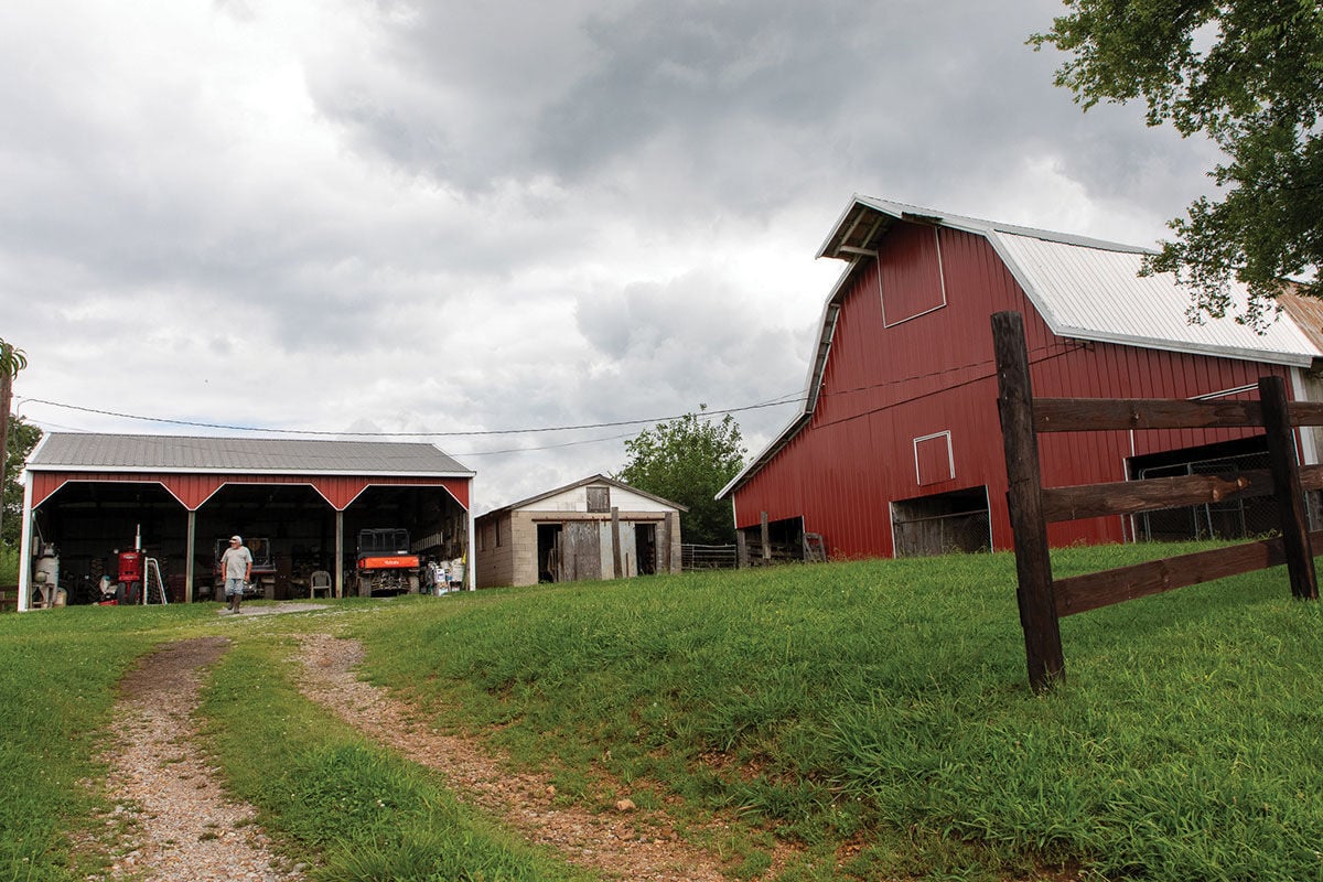 nashvillescene.com - Emily R. West - The State of Farming: Nashville's Shrinking Traditional Farming Community