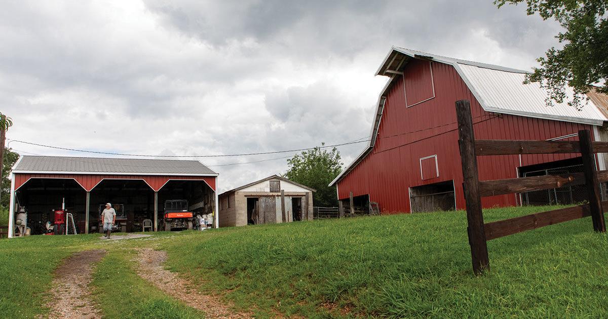 The State of Farming: Nashville's Shrinking Traditional Farming Community