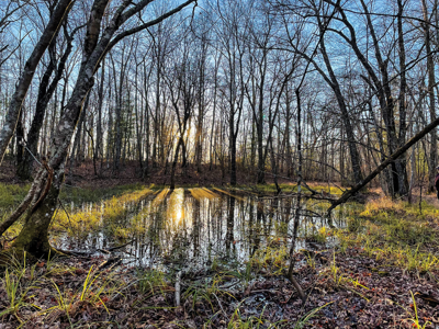 The Green Issue: Land Trusts in the Midstate Preserve Untouched Wilderness
