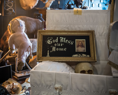 Best Place to See Shaq