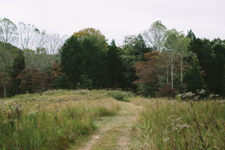 The Death Issue: Resting in Peace, the Green Way