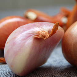 The Pub, a British-Inspired Tavern, Set to Open This Month in the Gulch